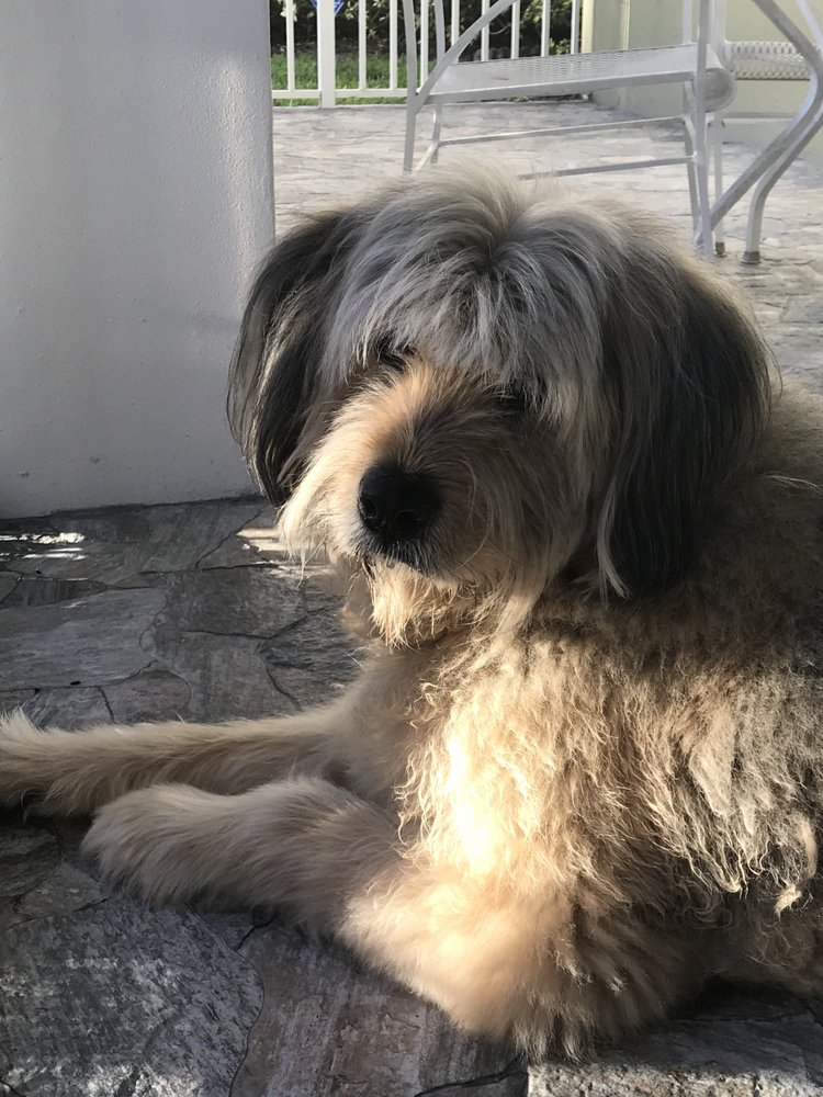 While You're Away, LLC