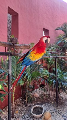 Paraiso de la Bonita, a Luxury Collection Resort, Riviera Maya, Adult All-Inclusive by null
