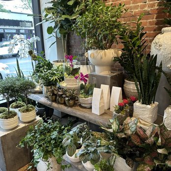 Viburnum Designs - Florists Near Me - Summit, New Jersey