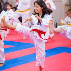 Bluedragon TaeKwondo - SafeKids USA/Blue Dragon Taekwondo School