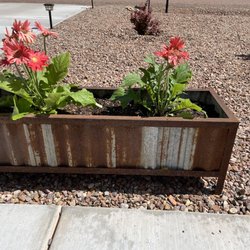 In Bloom Nursery