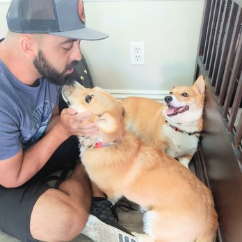 Obey My Commands Dog Training - You can see they adore Sal even after a hard first day of training. - Pet Training Near Me - Anaheim, California Obey My Commands Dog Training - You can see they adore Sal even after a hard first day of training. - Pet Training Near Me - Anaheim, California