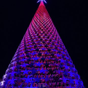 Chicago Botanic Garden - Giant light changing Christmas Tree. - Botanical Gardens Near Me - Glencoe, Illinois