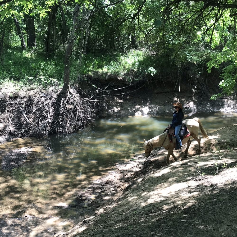 Widowmaker Trail Rides - Horseback Riding Near Me - Southlake, Texas Widowmaker Trail Rides - Horseback Riding Near Me - Southlake, Texas