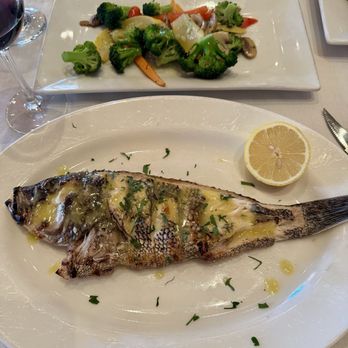 Veranda Restaurant & Cafe - Seabass - Mediterranean Near Me - Bayside, New York Veranda Restaurant & Cafe - Seabass - Mediterranean Near Me - Bayside, New York