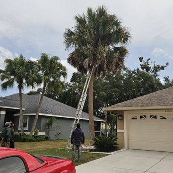 DMA Tree Service - Tree Services Near Me DMA Tree Service - Tree Services Near Me