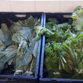 Imwalle Gardens - Imwalle collard greens amd mustard greens - Nurseries & Gardening Near Me - Santa Rosa, California Imwalle Gardens - Imwalle collard greens amd mustard greens - Nurseries & Gardening Near Me - Santa Rosa, California