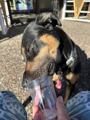 Flavor Brigade by null