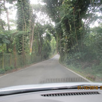 El Yunque Rainforest - narrow, scary roads - Hiking Near Me - Luquillo, Puerto Rico