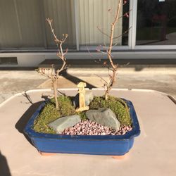Matsuda Landscape & Nursery