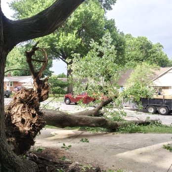 Tony's Tree Service - Tree Services Near Me Tony's Tree Service - Tree Services Near Me