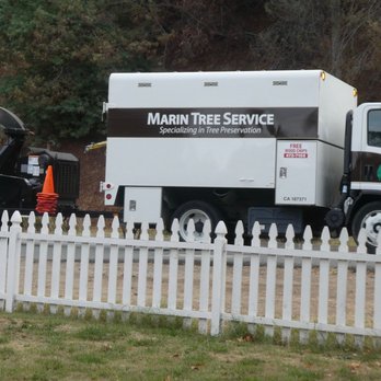 Marin Tree Service - Our property is immaculate after our trees are pruned. - Landscaping Near Me - San Rafael, California Marin Tree Service - Our property is immaculate after our trees are pruned. - Landscaping Near Me - San Rafael, California