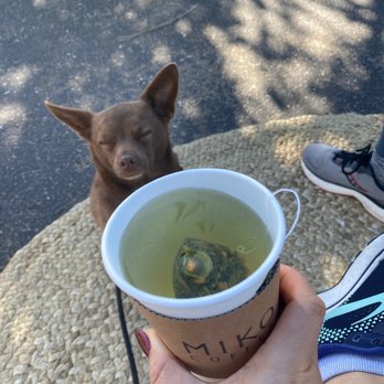 MIKO Coffee by Post - Coffee & Tea Near Me - Campbell, California