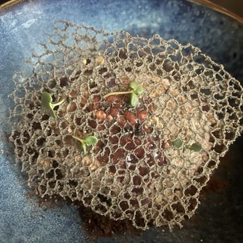 Xo Brasserie - Nutella Mousse - Cantonese Near Me - Charleston, South Carolina