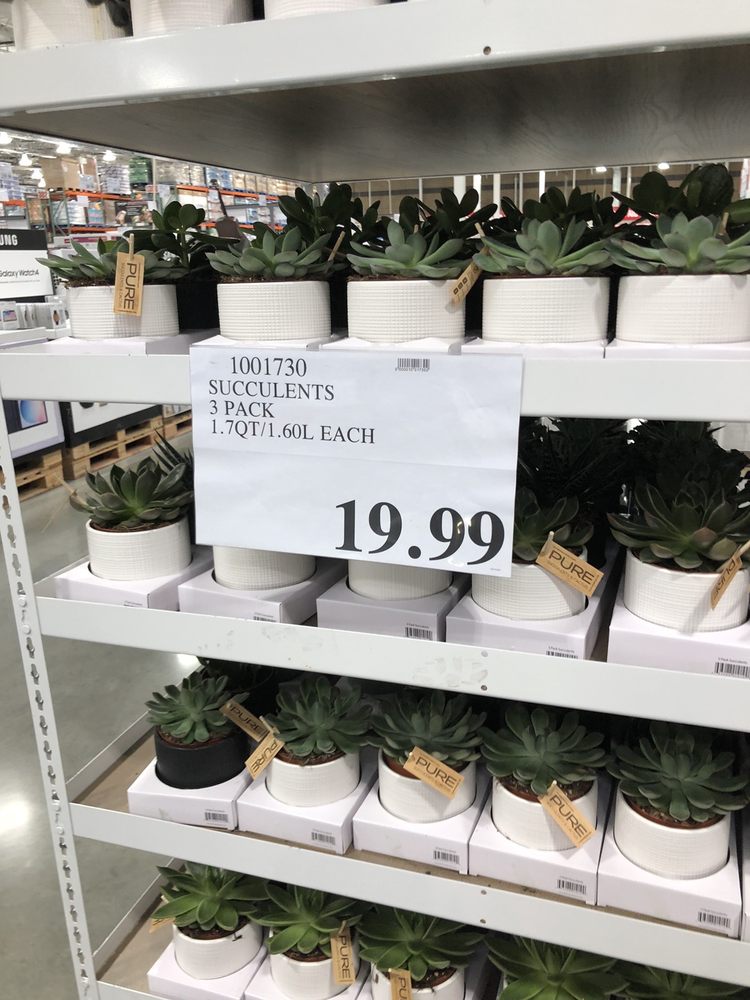 COSTCO WHOLESALE 564 Photos & 28 Reviews 26960 NW Fwy, Cypress, TX