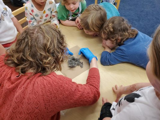 Child's Play Cooperative Preschool