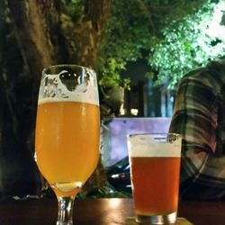 De Bruer 101 Cervejas Brasileiras - Beer under a tree