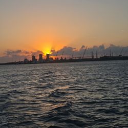 Scarlet Lady Dolphin Cruises