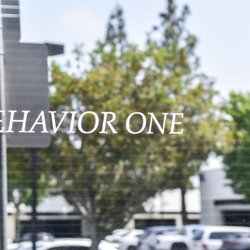 Behavior One Autism Solutions