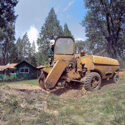 Stump Grinding a 36" Pine