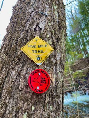 Saratoga Spa State Park by null