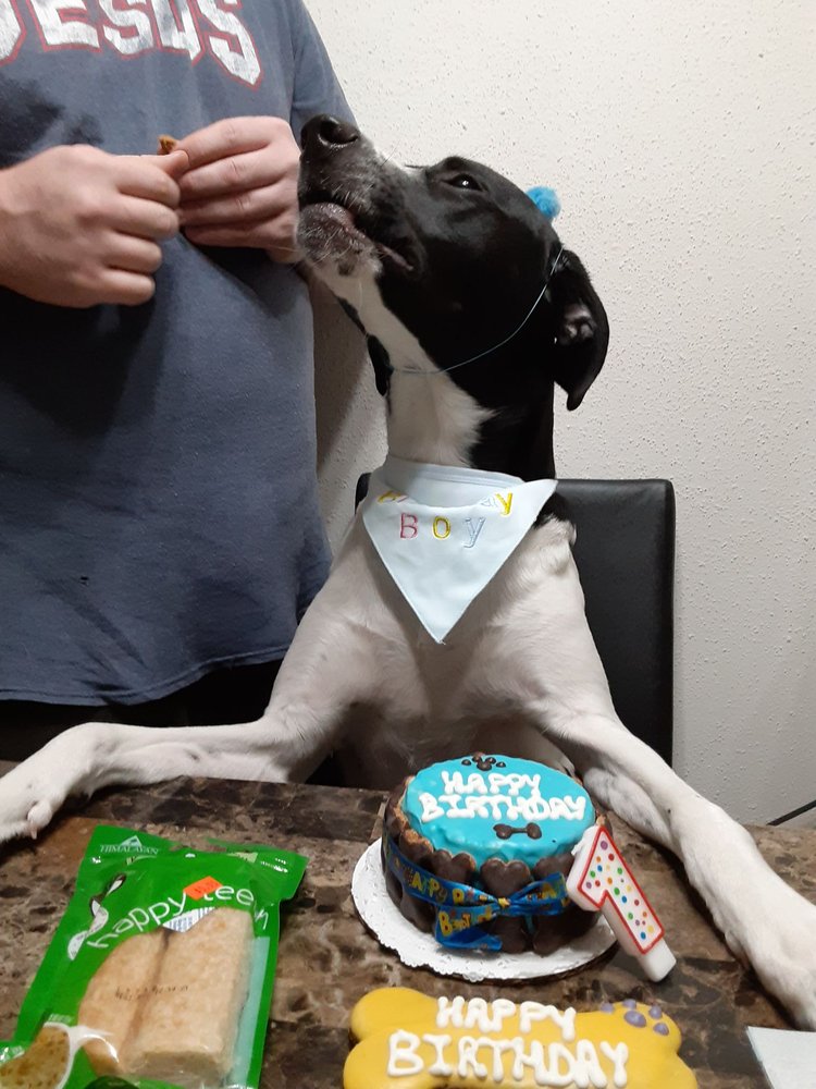 JEFFERSON FEED VETERANS Updated June 2024 35 Photos & 17 Reviews