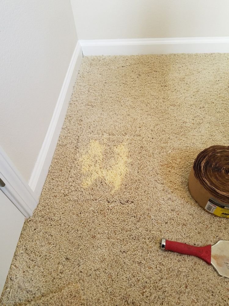 C&J CARPET CLEANING Updated July 2024 19 Photos San Jose