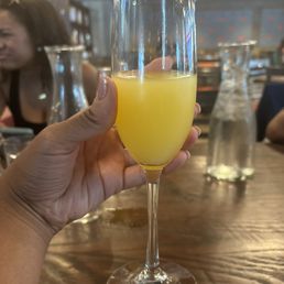 Mimosa Mimosa