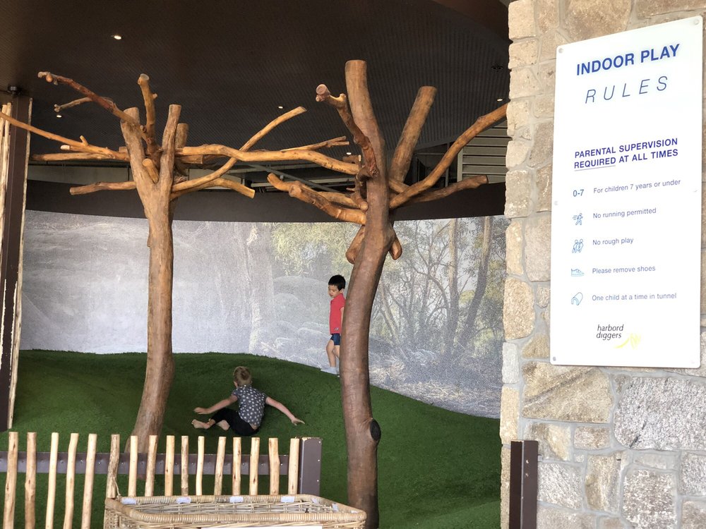 HARBORD DIGGERS Updated September 2024 10 Photos 80 Evans St