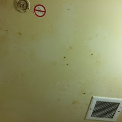 Bathroom ceiling