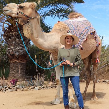 Cabo Adventures - Photo Op with a Camel (photo shot by Cabo Adventure photographer) - Boat Tours Near Me - Cabo San Lucas, BCS Cabo Adventures - Photo Op with a Camel (photo shot by Cabo Adventure photographer) - Boat Tours Near Me - Cabo San Lucas, BCS