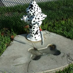 Dog Bone Run - Fresh water available