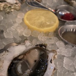Oysters Oysters