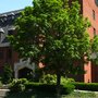 Photo of Pittsburgh Oratory & Catholic Newman Center