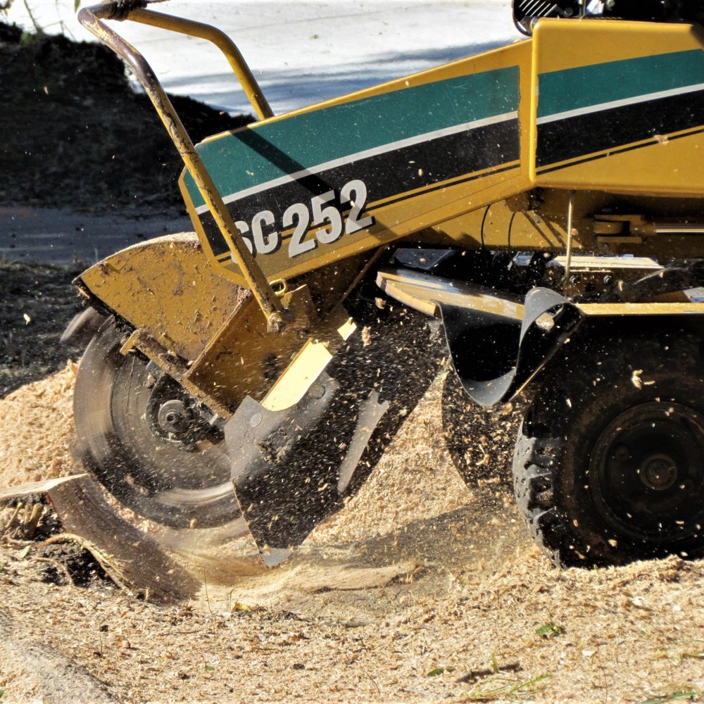 J&J Professional Tree Service - Tree Services Near Me J&J Professional Tree Service - Tree Services Near Me