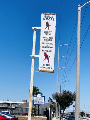 Birds & More by null