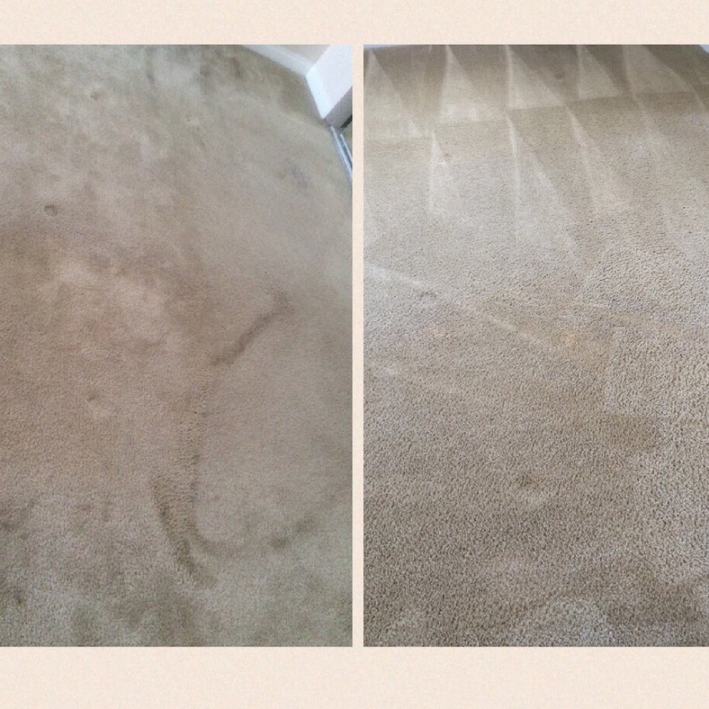 Rug'it Cleaning & Replacement - Before & after - Carpet Cleaning Near Me Rug'it Cleaning & Replacement - Before & after - Carpet Cleaning Near Me