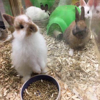 Pet Supermarket - Pet Stores Near Me - North Miami, Florida Pet Supermarket - Pet Stores Near Me - North Miami, Florida