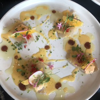OLIVIA - Wahoo dish - Italian Near Me - Tampa, Florida OLIVIA - Wahoo dish - Italian Near Me - Tampa, Florida