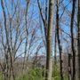 Photo of Murrow Lakeside Park Trail