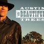 Photo of Austin Beautiful Trees