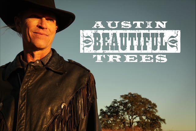 Austin Beautiful Trees - tree service in Austin, TX