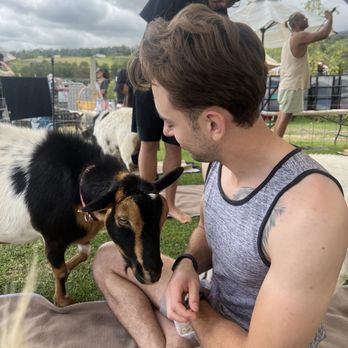 Maui Goat Yoga - Animal Assisted Therapy Near Me - Kula, Hawaii Maui Goat Yoga - Animal Assisted Therapy Near Me - Kula, Hawaii