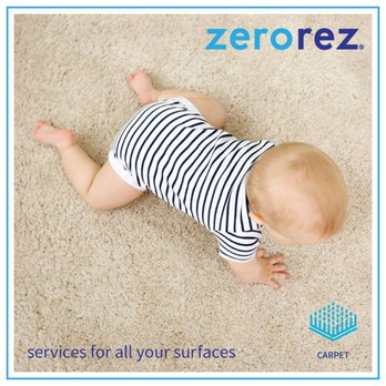 Zerorez Willamette Valley - Carpet Cleaning Near Me
