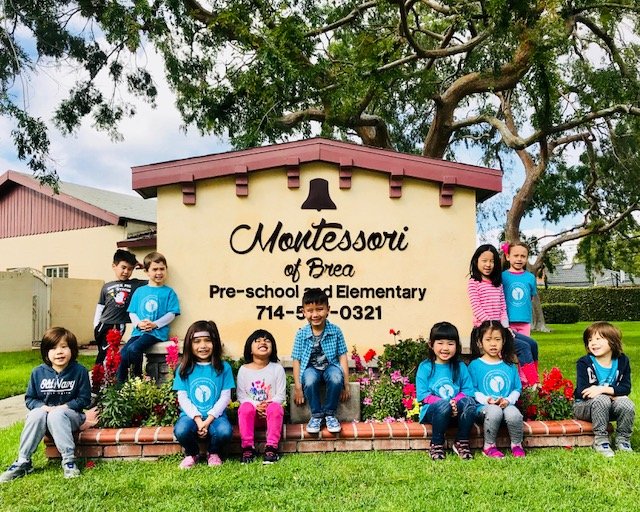 Montessori of Brea - childcare center in Brea, CA