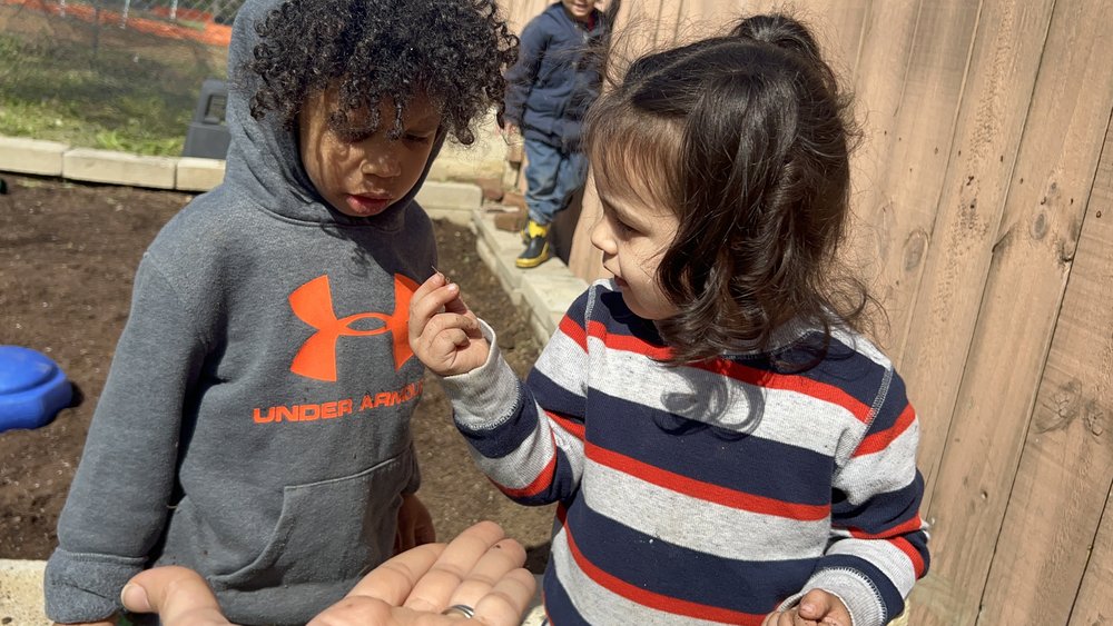 Golden Beads Learning Center - childcare center in Nashville, TN