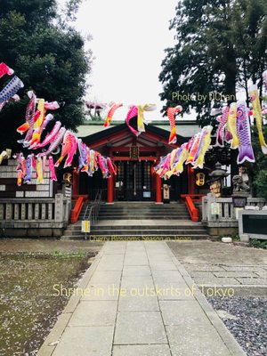 【No151】ラベルテープ【C】薬局・病院(海外チケット(ロールチケット No151】ラベルテープ【C】薬局・病院(海外チケット(ロール