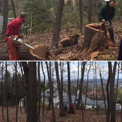 Mike's Professional Lawn Care