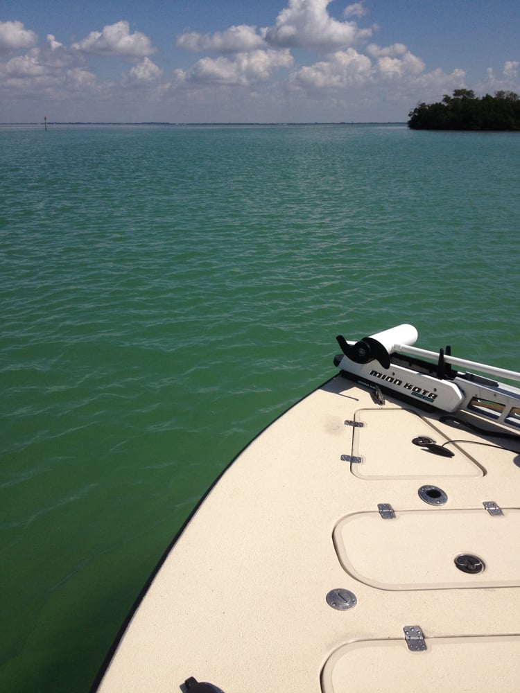 Backwater Charters Logo