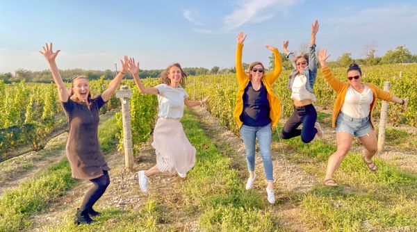 The County Wine Tours by null